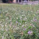 Bed & Breakfast Les Noyers Verrayes