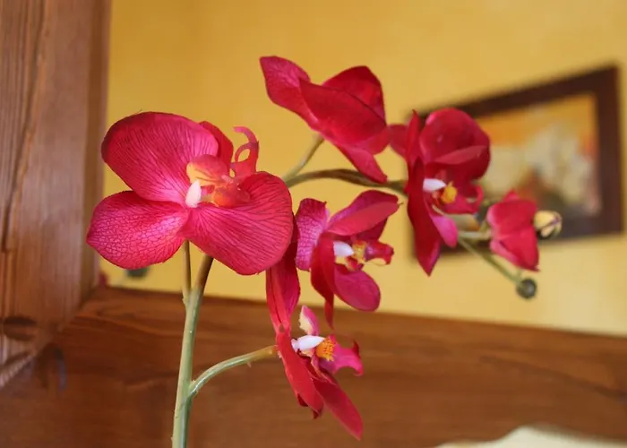 Bed & Breakfast Les Noyers 3*